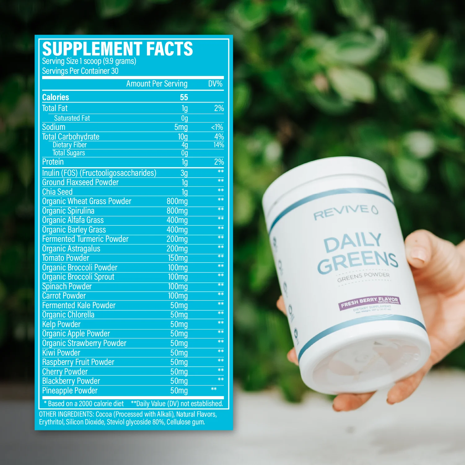 Daily Greens Powder Fresh Berry Flavor